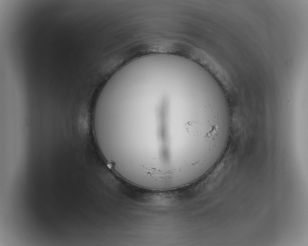 X0000102270305200807251355
