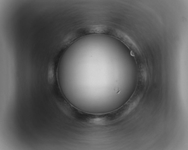 X0000102270312200807251355