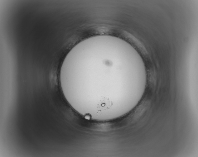 X0000102270313200807251355