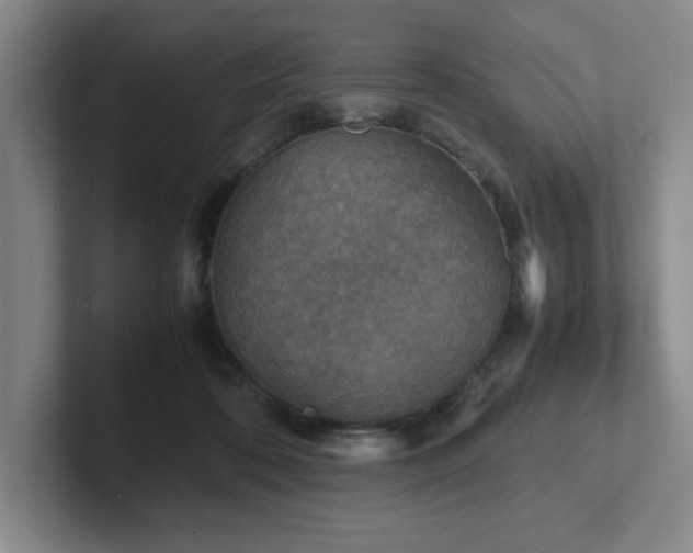 X0000102270316200807251355