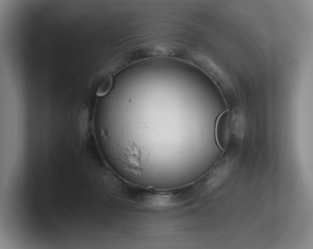 X0000102270318200807251355