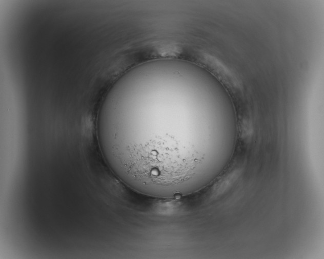 X0000102270321200807251354