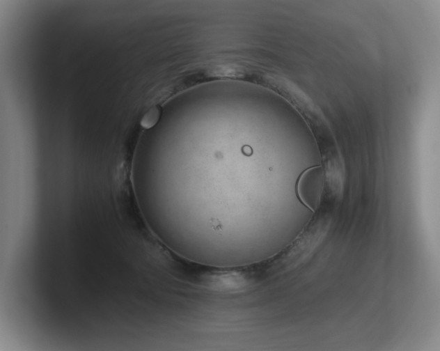X0000102270322200807251354