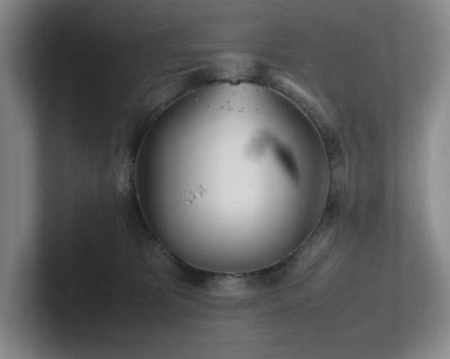 X0000102270325200807251354