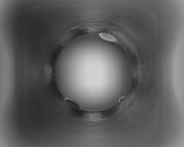 X0000102270327200807251354