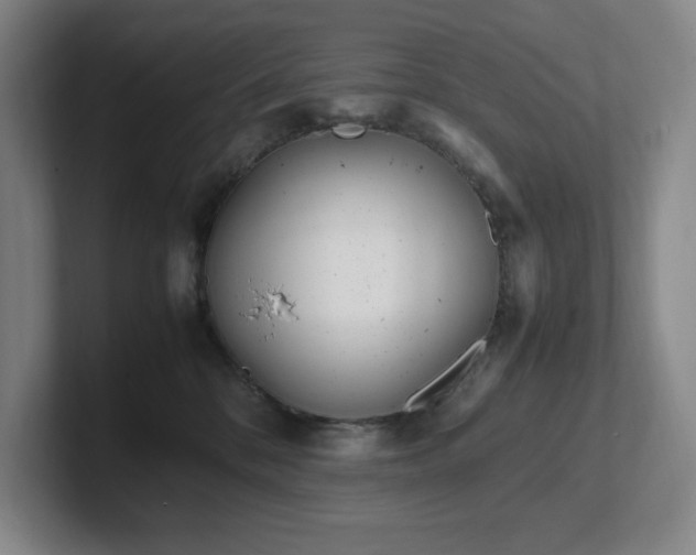 X0000102270328200807251354