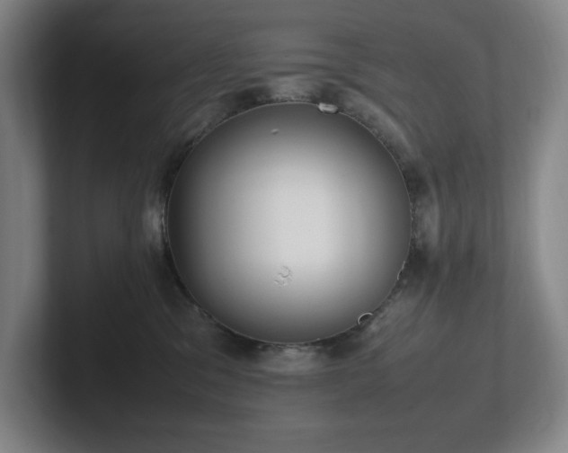X0000102270329200807251354