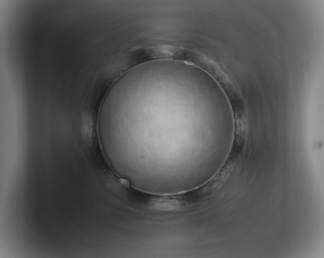 X0000102270331200807251354