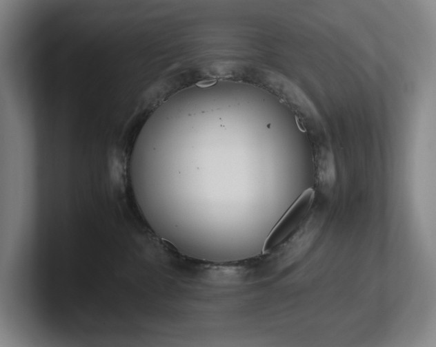 X0000102270332200807251354