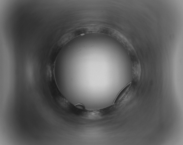 X0000102270333200807251354