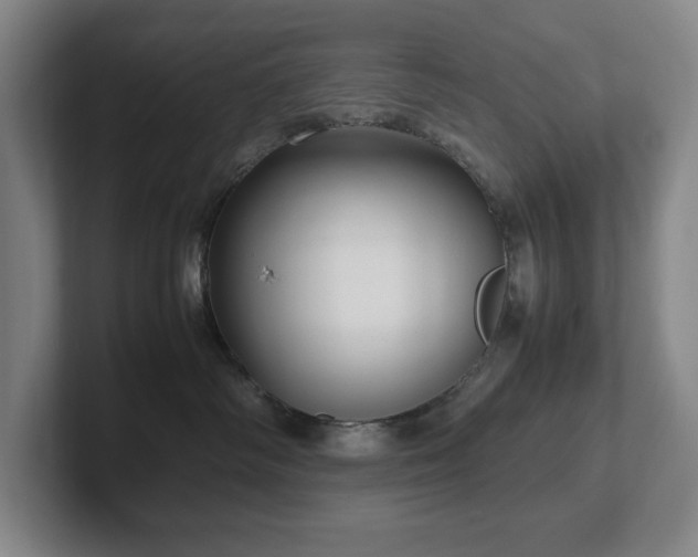 X0000102270334200807251354