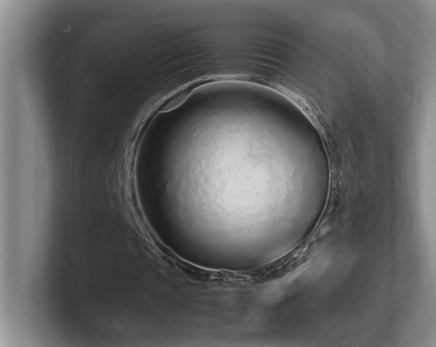 X0000102270337200807251353