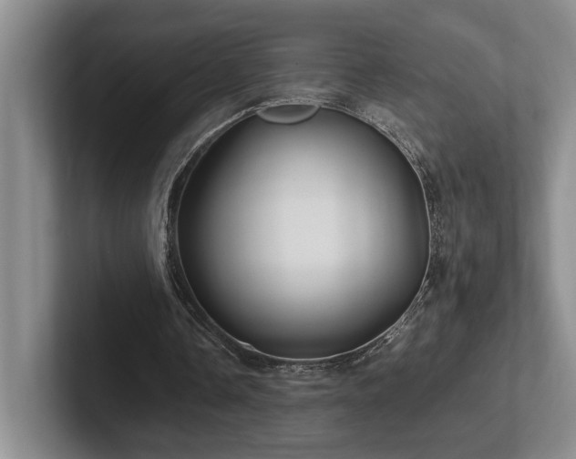 X0000102270338200807251354