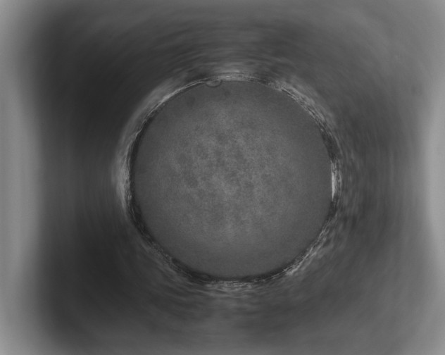 X0000102270339200807251354
