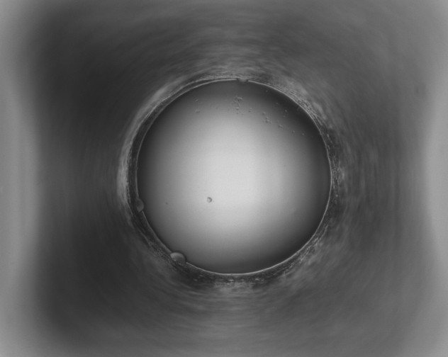 X0000102270340200807251354