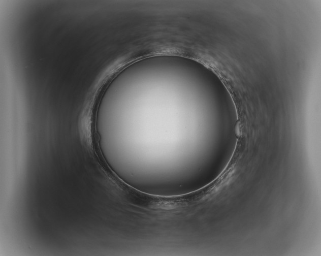 X0000102270341200807251354
