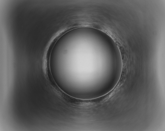 X0000102270342200807251354