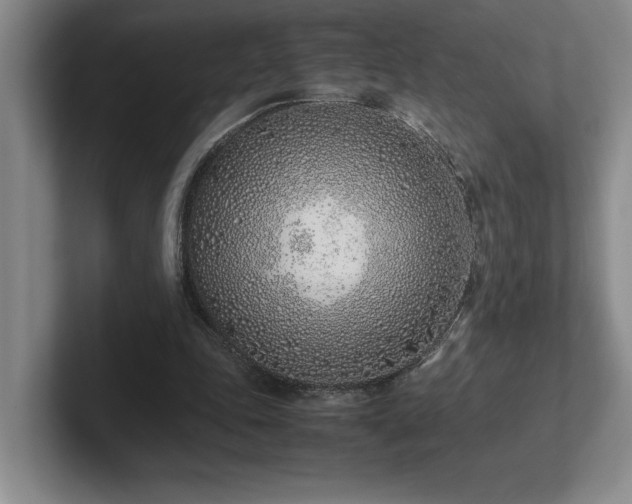 X0000102270343200807251354