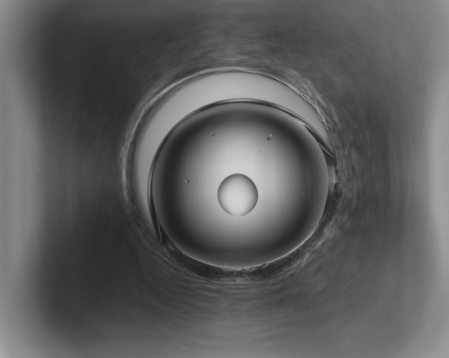 X0000102270344200807251354