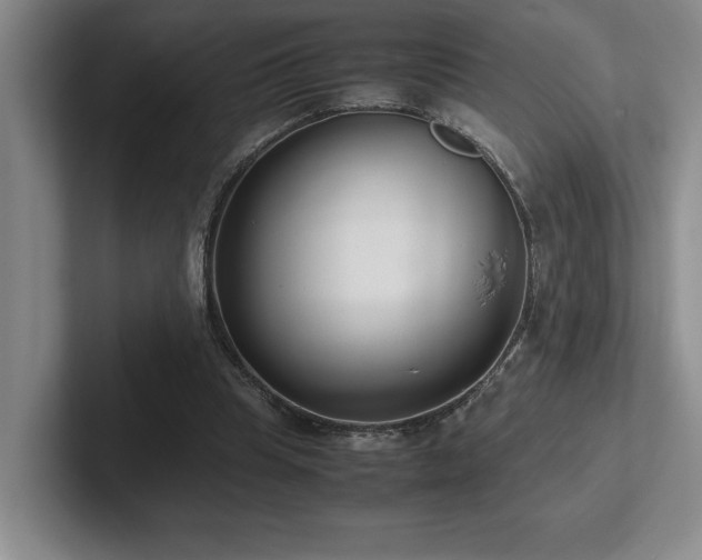 X0000102270345200807251354