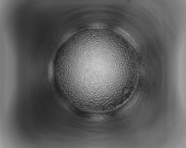 X0000102270347200807251354