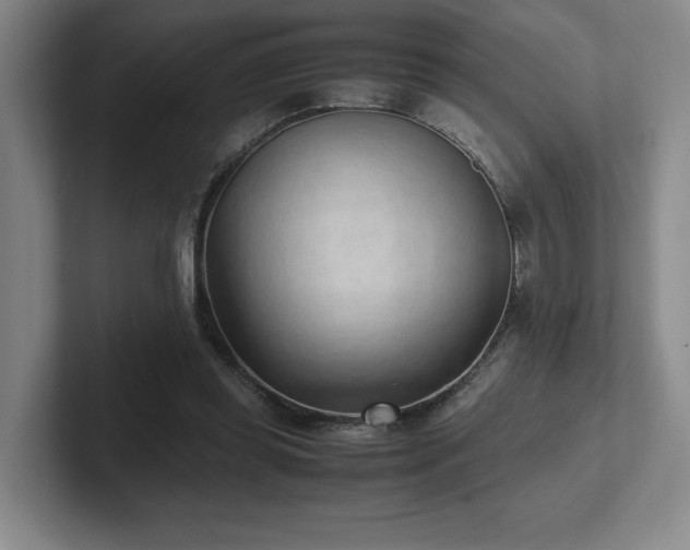 X0000102270349200807251354