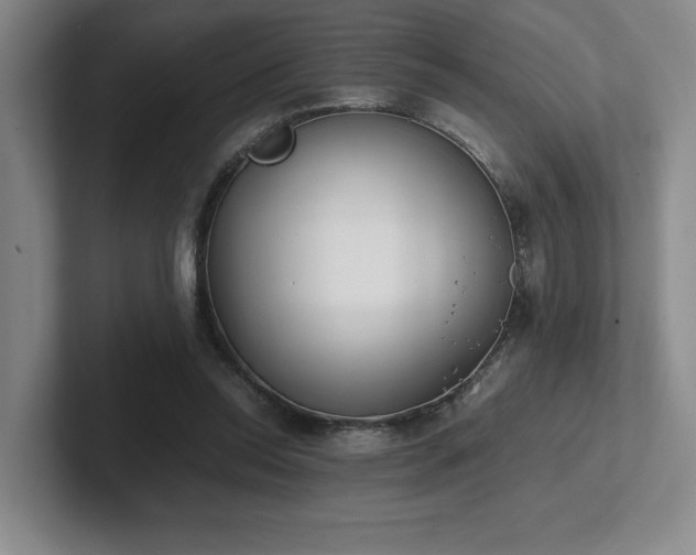 X0000102270350200807251354
