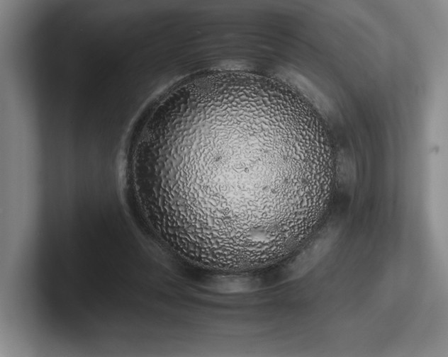 X0000102270351200807251354