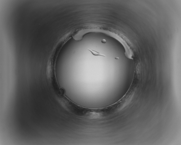 X0000102270352200807251354