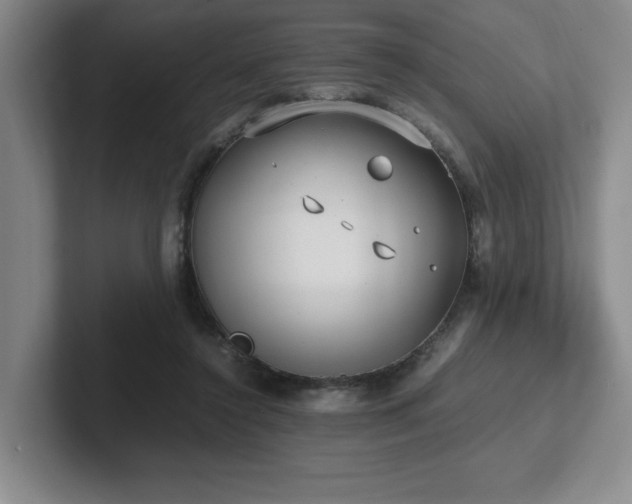 X0000102270356200807251354