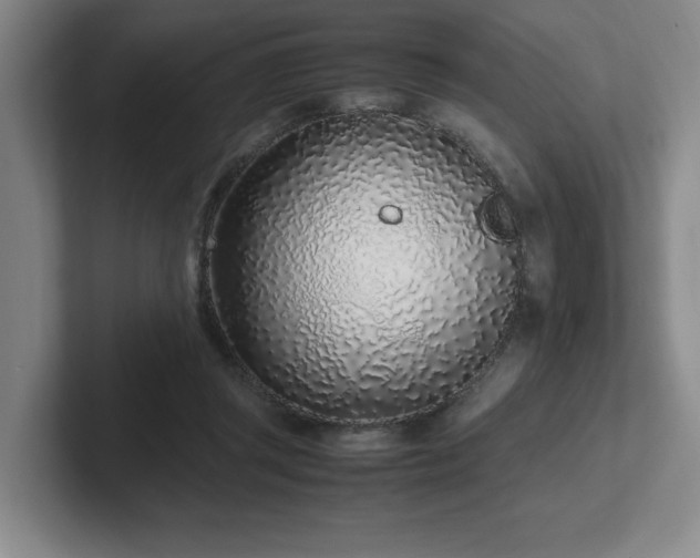 X0000102270357200807251354