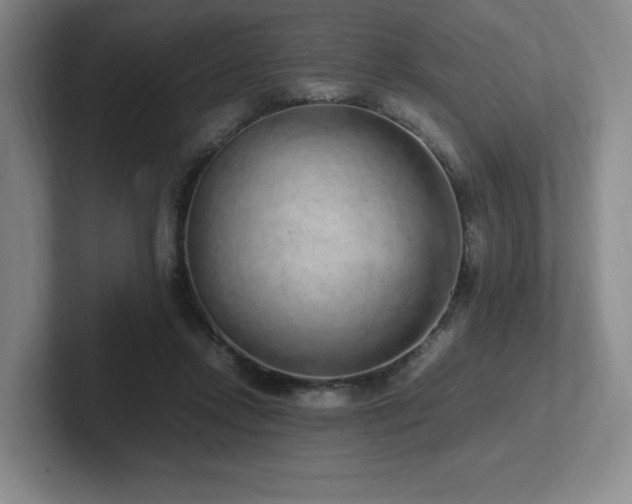 X0000102270358200807251354