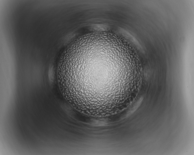 X0000102270359200807251354