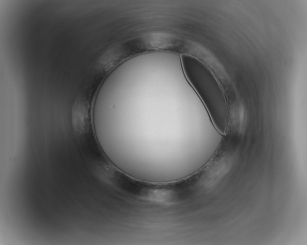 X0000102270360200807251354