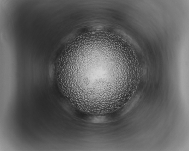 X0000102270361200807251354