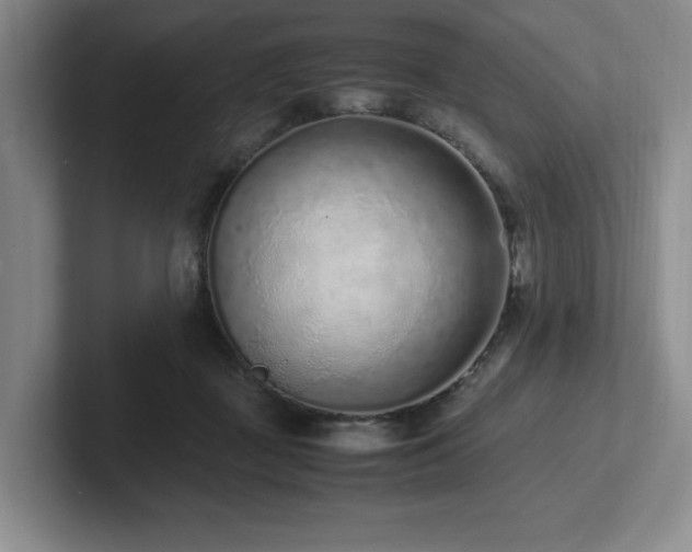 X0000102270363200807251354