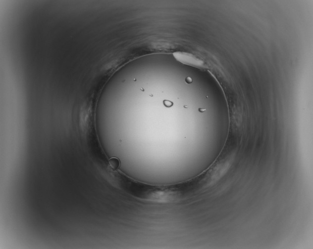 X0000102270364200807251354