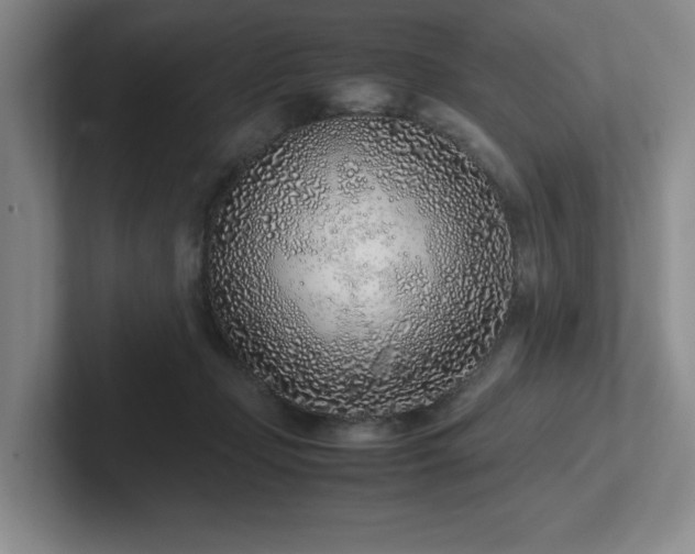 X0000102270365200807251354