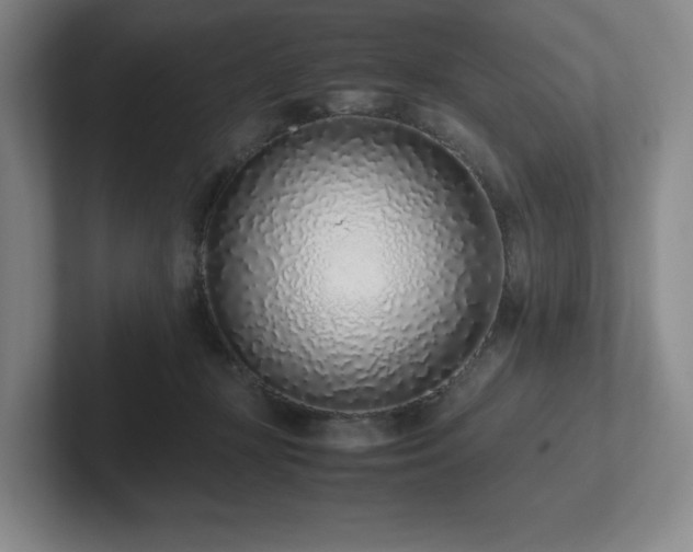 X0000102270367200807251354