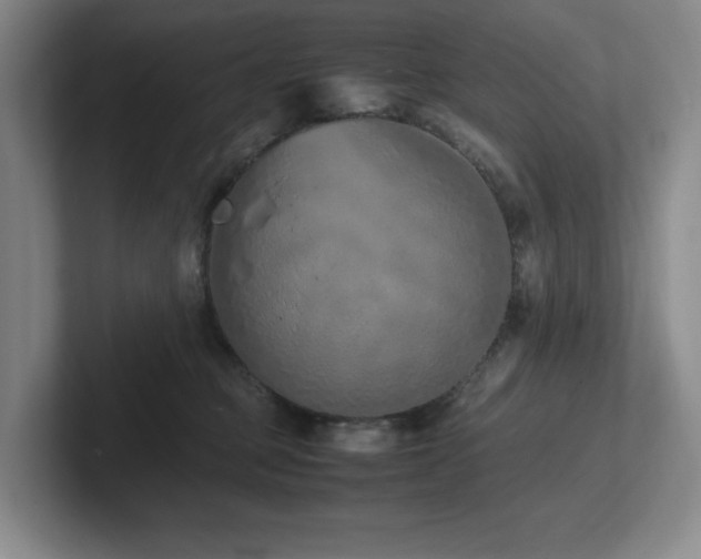 X0000102270373200807251354