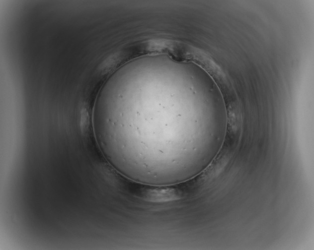 X0000102270375200807251354