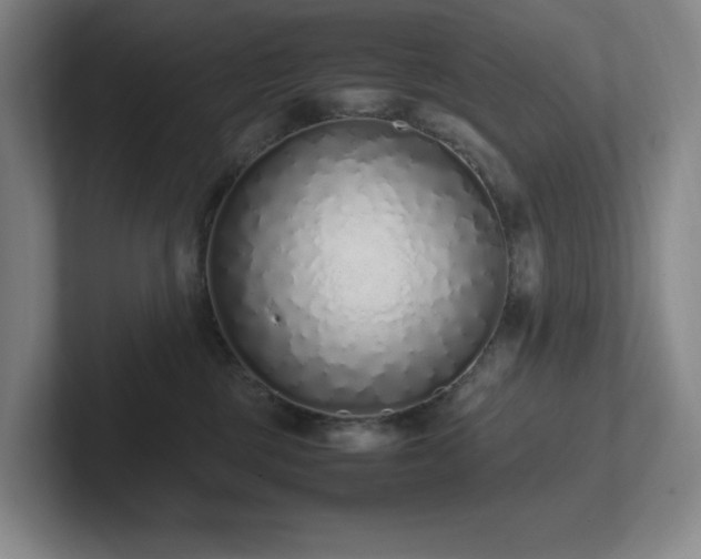 X0000102270377200807251354