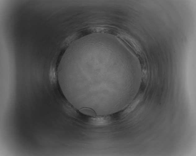 X0000102270381200807251354