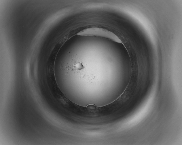 X0000102270382200807251354