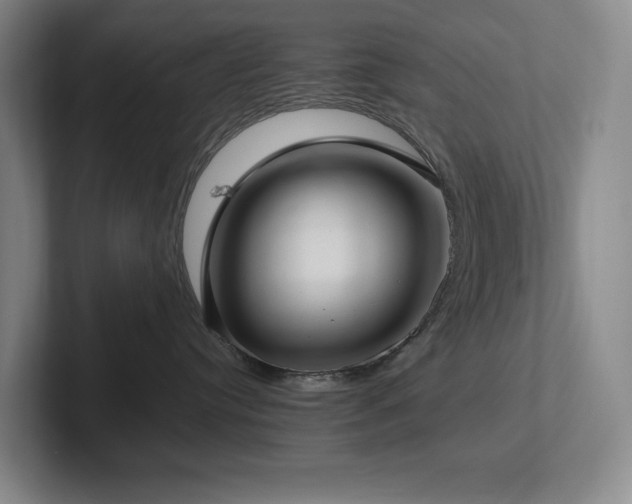 X0000102270384200807251354