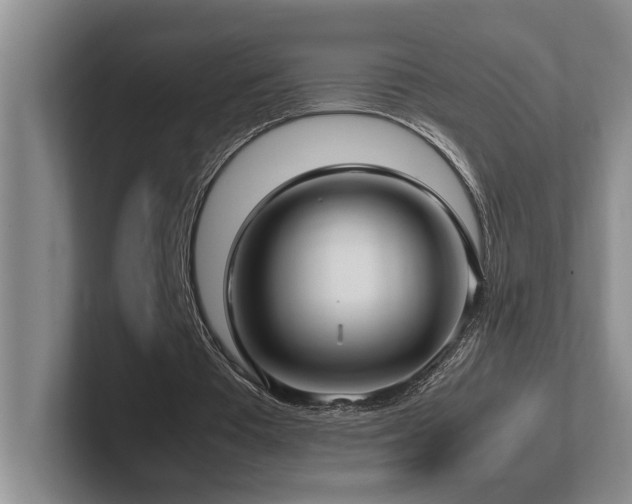 X0000102270385200807251353