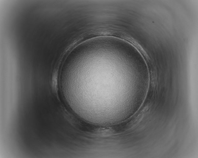 X0000102270386200807251353