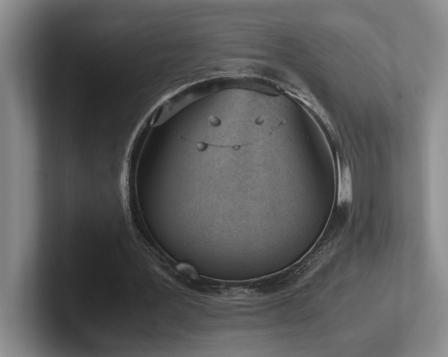 X0000102270387200807251353