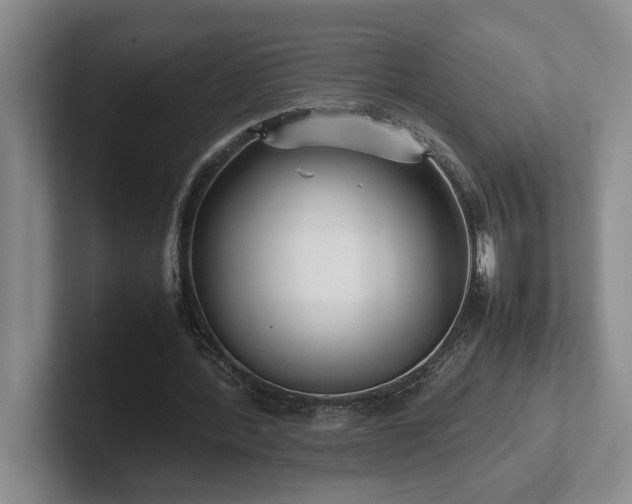 X0000102270388200807251353