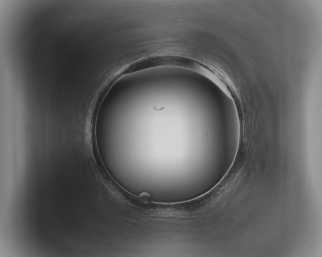 X0000102270389200807251353